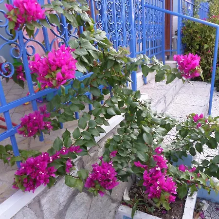 Artemis & Διαμέρισμα *