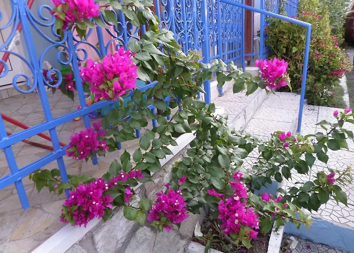 Artemis & Apartamento *